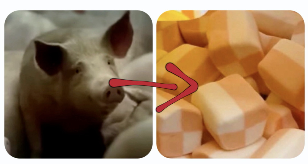 一頭豬到一包棉花糖，中間到底發生了什么？