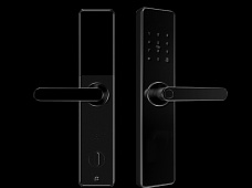 青松沃德-Wi-Fi 指紋鎖家用防盜門智能門鎖密碼鎖刷卡電子鎖 防磁干擾 防撬 L9-WT (不含鎖體，鎖體需另購）